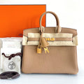 Hermes Birkin 25 togo