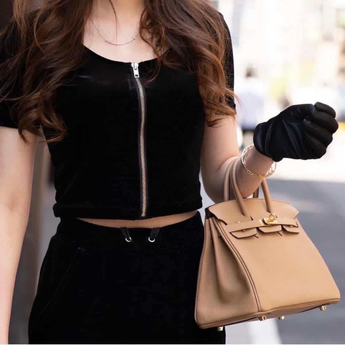 Hermes Birkin 25 togo