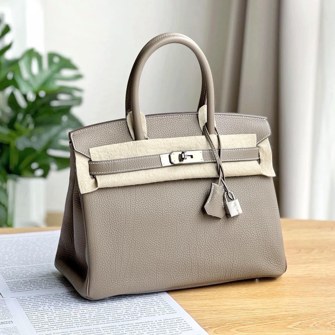 Hermes Birkin30